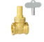 Bbq Wifi Controlled 1/2 &quot;38mm Brass Gate Valve 1.5 Inch Female Male